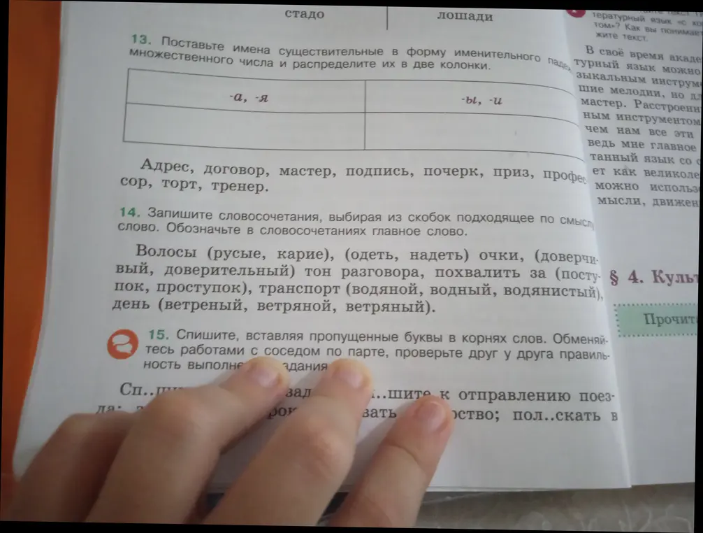 Поставь имена существительные в форму именительного падежа множественного числа и распредели их в две колонки