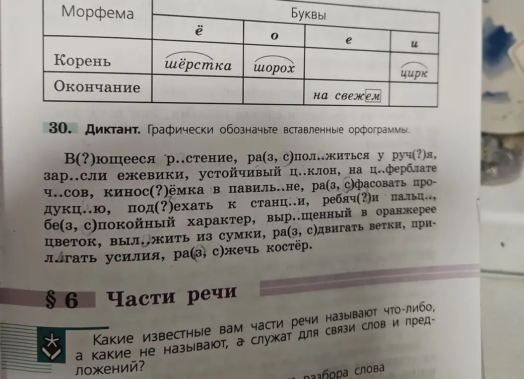 Выполни диктант и графически обозначь вставленные орфограммы в словах: В(?)ющееся р..стение, ра(з, с)пол..житься у руч(?)я и т.д.