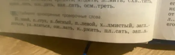Подбери однокоренные проверочные слова: Н..чной, п..стух, н..бесный и т.д.