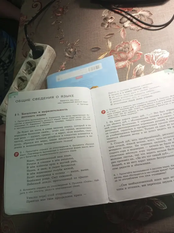 Прочитай отрывок из стихотворения К. Бальмонта «Русский язык». Подтверди высказанную в поэтической форме мысль автора о богатстве и выразительности русского языка