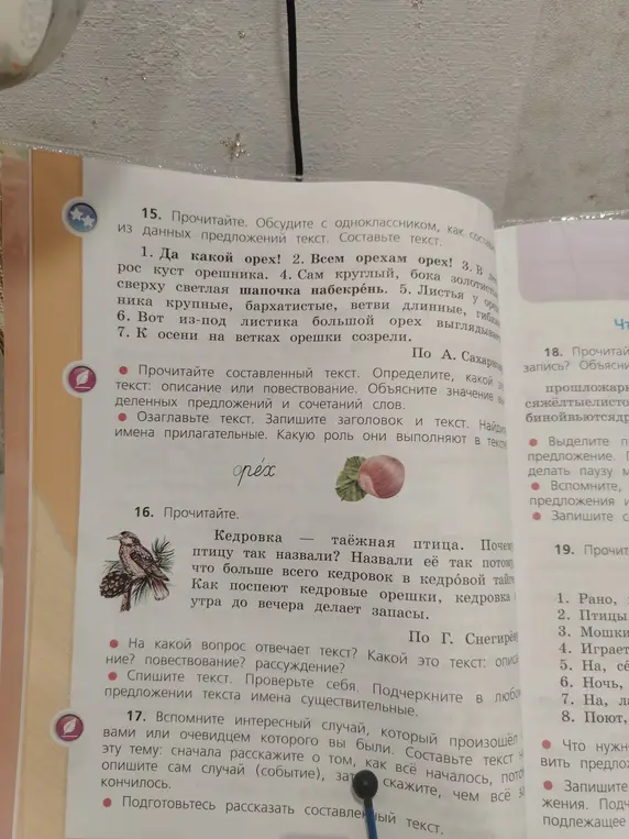 Ты просишь выполнить задания 15-19 по русскому языку: ответить на вопросы, озаглавить текст, найти прилагательные и существительные, составить текст, составить предложения.