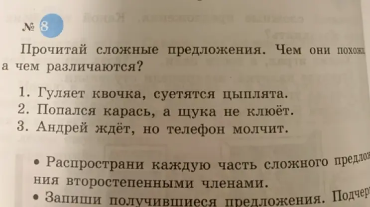 Прочитай сложные предложения. Чем они похожи, а чем различаются в номере 1?