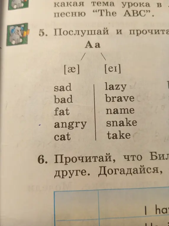 Прочитай и распредели слова в задании 5