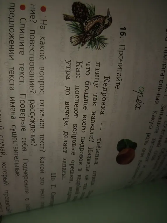 На какой вопрос отвечает текст про кедровку и имена существительные в предложении