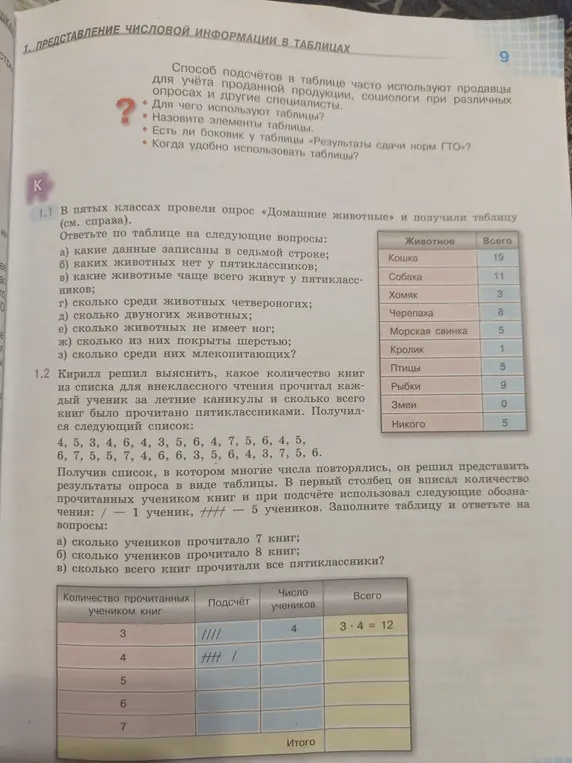 Ответь по таблице на вопросы: какие данные записаны в седьмой строке; каких животных нет у пятиклассников и т.д.