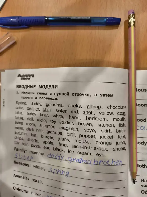 Ты просишь написать слова в нужной строчке и затем прочесть и перевести слова Spring, daddy, grandma, socks, chimp, chocolate cake, brother, chair, sister, red, shelf, yellow, coat, blue, teddy bear, white, hand, bedroom, mouth, table, doll, radio, toy soldier, brown, kitchen, fish, living room, summer, magician, yoyo, skirt, bathroom, dark hair, grandpa, bird, puppet, jacket, feet, autumn, hat, burger, jeans, mouse, orange juice, chips, shorts, apple, frog, jack-in-the-box, shoes, fair hair, pizza, ear, black, ice cream, eye.