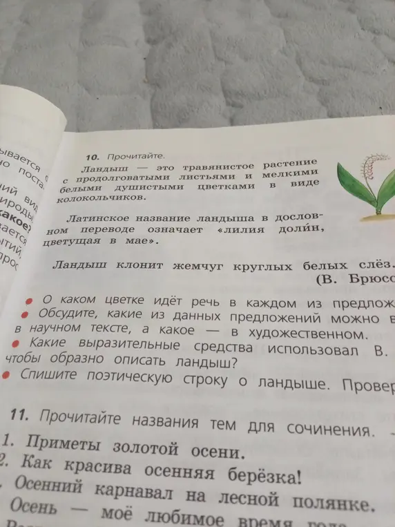 О каком цветке идёт речь в каждом из предложений?