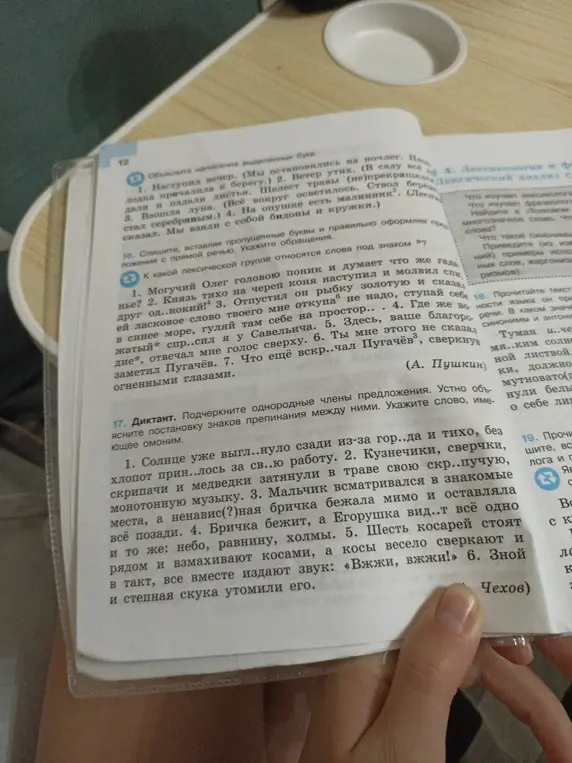 Выполни задание 17. Подчеркни однородные члены предложения. Устно объясни постановку знаков препинания между ними. Укажи слово, имеющее омоним.