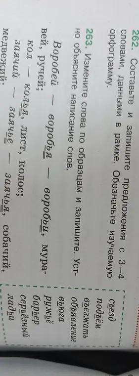 Предложи составить и записать предложения с 3-4 словами, данными в рамке; изменить слова по образцам и записать