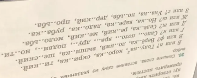 Спиши слова, вставляя одну из указанных букв: В или п? Голу..ка
