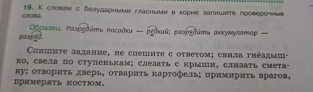 Подбери проверочные слова к словам с безударными гласными в корне: свила гнёздышко