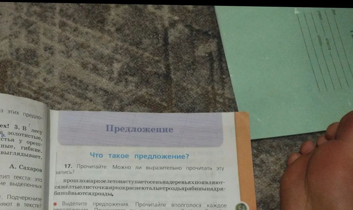 Можешь ли ты выразительно прочитать запись и выделить предложения?