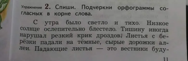 Ты просишь подчеркнуть орфограммы согласных в корне слова в упражнении.