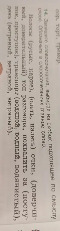 Помоги записать словосочетания, выбирая из скобок подходящее по смыслу слово, и обозначить в словосочетаниях главное слово