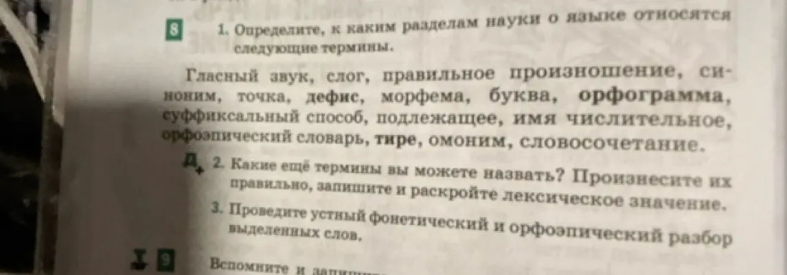 Определи, к каким разделам науки о языке относятся термины: гласный звук, слог, правильное произношение, синоним, точка, дефис, морфема, буква, орфограмма, суффиксальный способ, подлежащее, имя числительное, орфоэпический словарь, тире, омоним, словосочетание