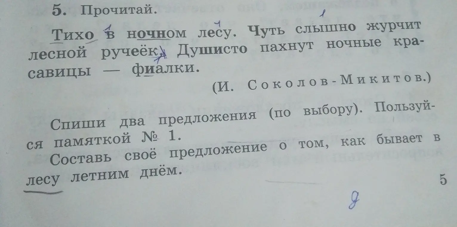 Составь своё предложение о том, как бывает в лесу летним днём.