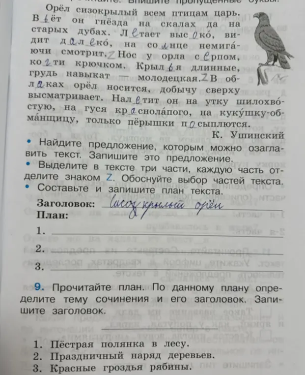Выдели в тексте три части, каждую часть отдели знаком Z. Обоснуй выбор частей текста.