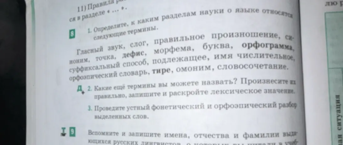 Определи, к каким разделам науки о языке относятся следующие термины
