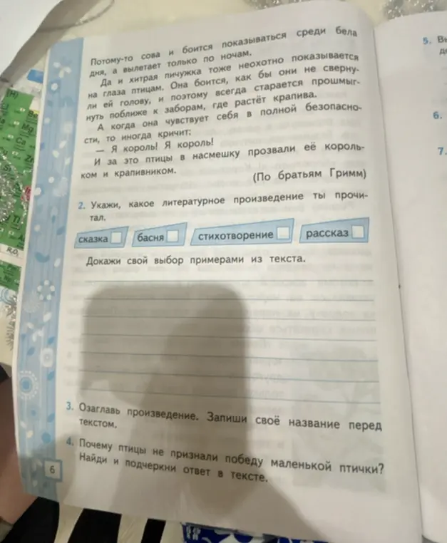 Укажи, какое литературное произведение ты прочитал.