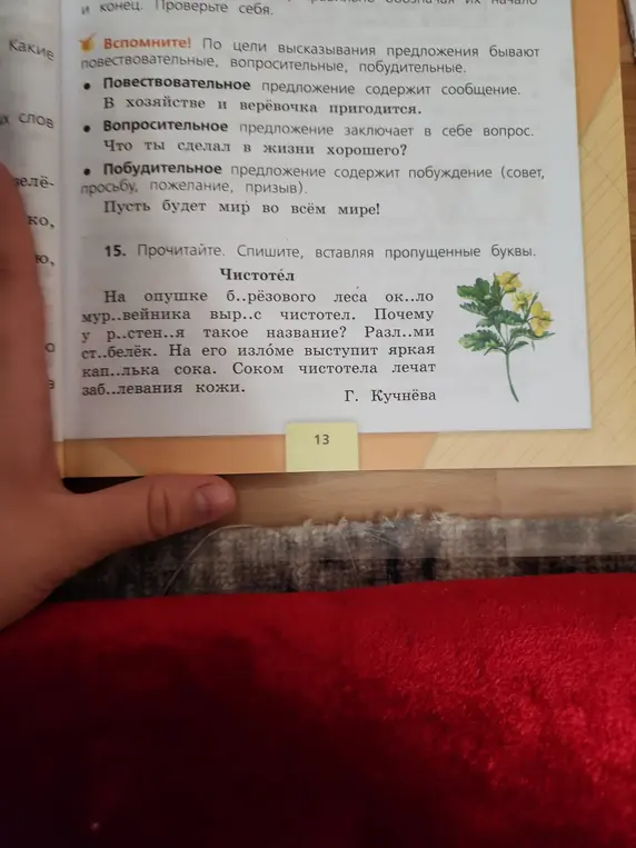 Прочитай текст и вставь пропущенные буквы.