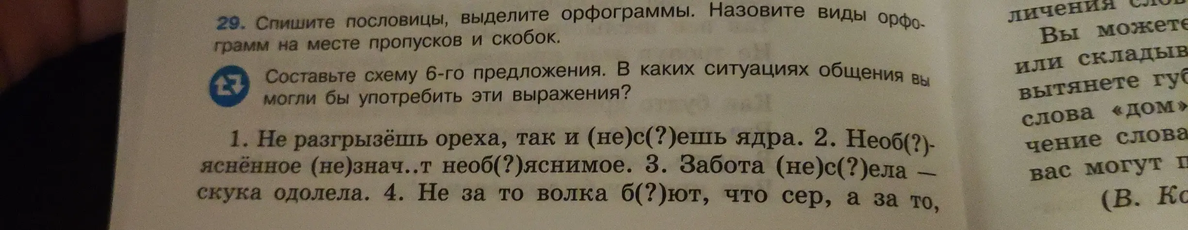 Предложи вставить пропущенные буквы в пословицы и объяснить орфограммы