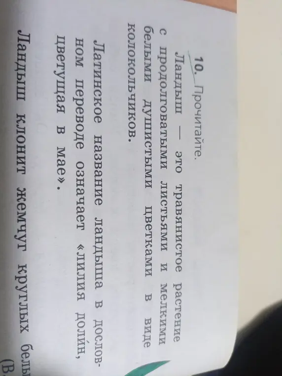 Прочитай текст