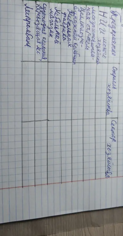 Определи отрасль и сектор хозяйства для предприятий лесного хозяйства