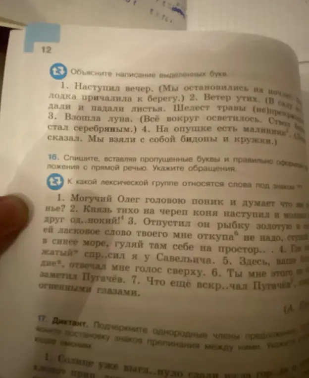 Объясни написание выделенных букв в упражнении 12 и выполни упражнение 16, вставляя пропущенные буквы и правильно оформляя предложения с прямой речью. Укажи обращения. Подчеркни однородные члены предложения в упражнении 17 и укажи слово, являющееся омонимом.