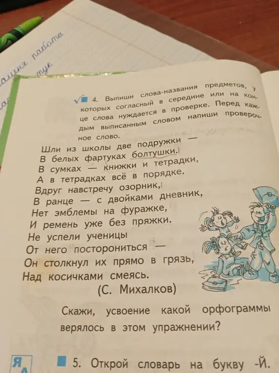 Выпиши слова-названия предметов, у которых согласный в середине или на конце слова нуждается в проверке.