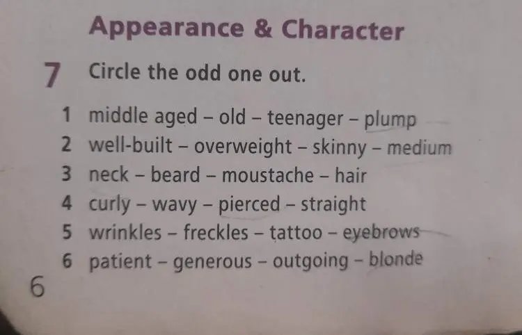 Выдели лишнее слово в ряду: middle aged - old - teenager - plump