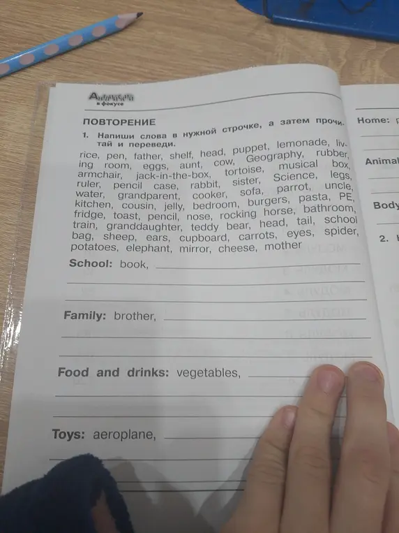 Напиши слова в нужной строчке и переведи: rice, pen, father, shelf, head, puppet, lemonade, living room, eggs, aunt, cow, Geography, rubber