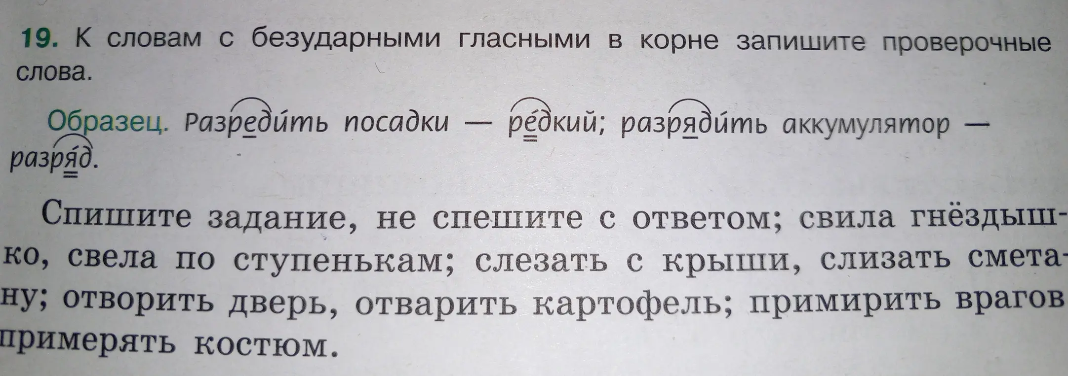 Подбери проверочные слова к словам с безударными гласными в корне: свила гнёздышко