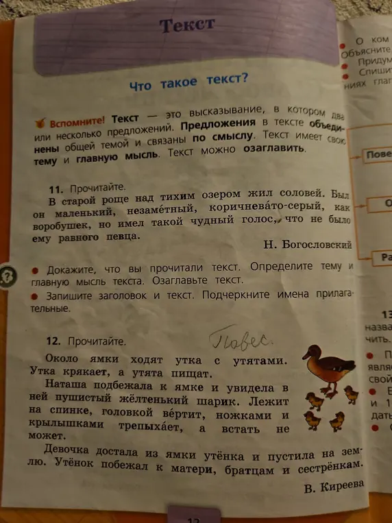 Докажи, что ты прочитал текст в упражнении 11. Определи тему и главную мысль текста. Озаглавь текст. Запиши заголовок и текст. Подчеркни имена прилагательные.