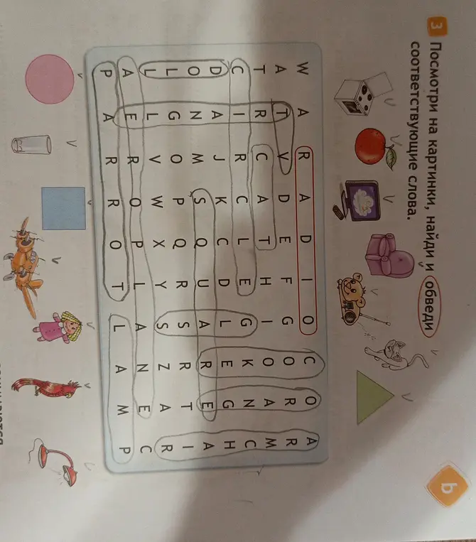 Посмотри на картинки, найди и обведи соответствующие слова