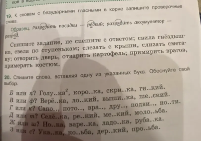 Спиши слова, вставляя букву Б или П: Голу..ка²