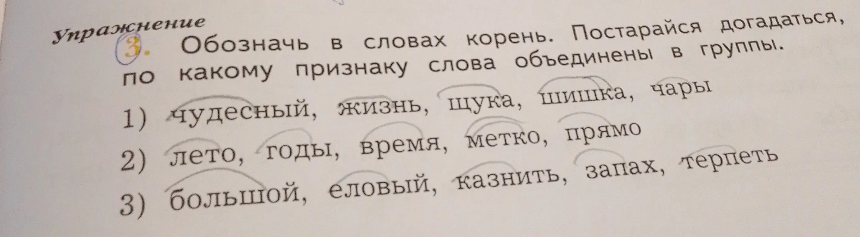 Обозначь в словах корень в упражнении 3 под номером 1.