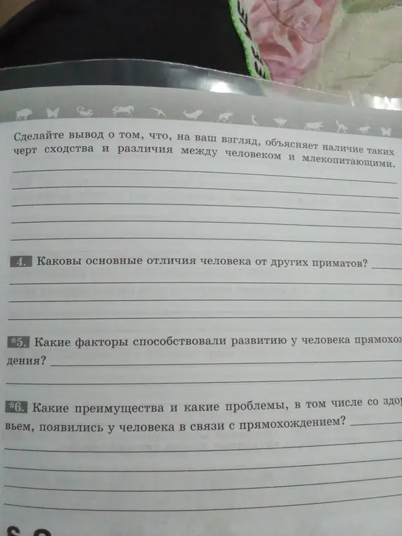 Какие основные отличия человека от других приматов?
