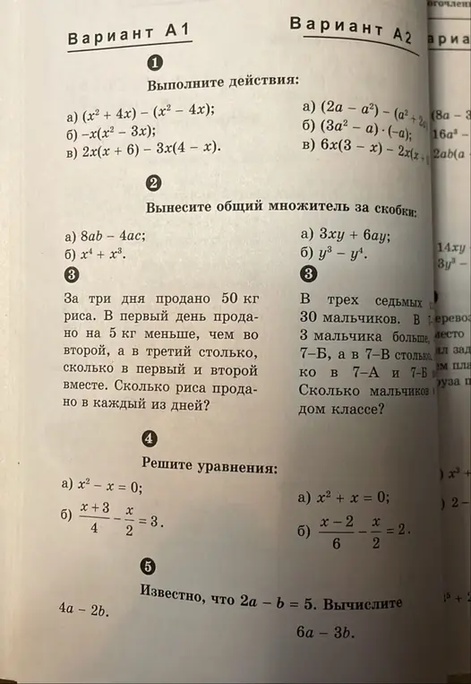Ты просишь меня решить задачи по алгебре из варианта А1: выполнить действия, вынести общий множитель за скобки, решить задачу и уравнения, вычислить выражение.