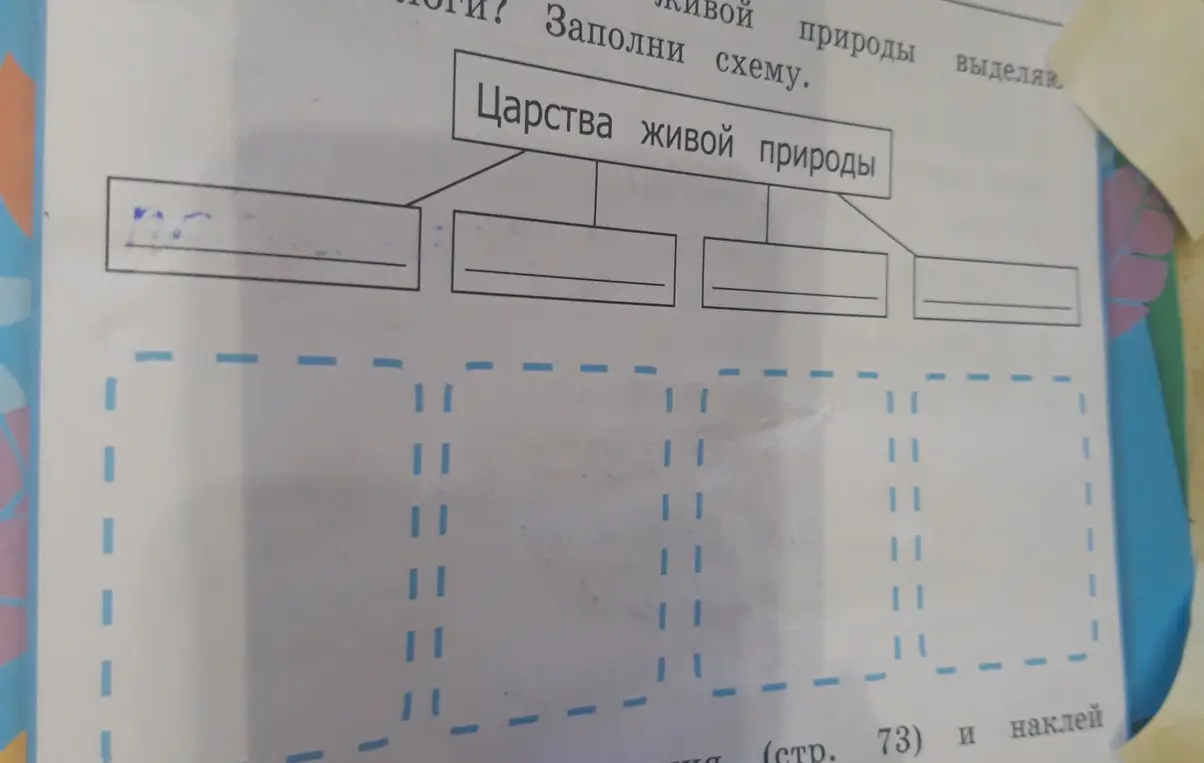 Заполни схему: Царства живой природы.