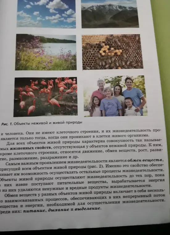 Можешь ли ты сделать пересказ текста про живую и неживую природу?