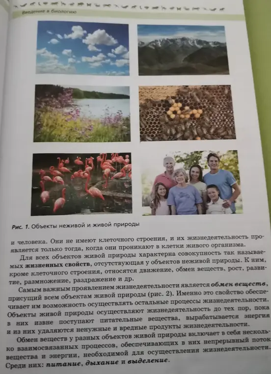 Сделай пересказ текста о живой и неживой природе