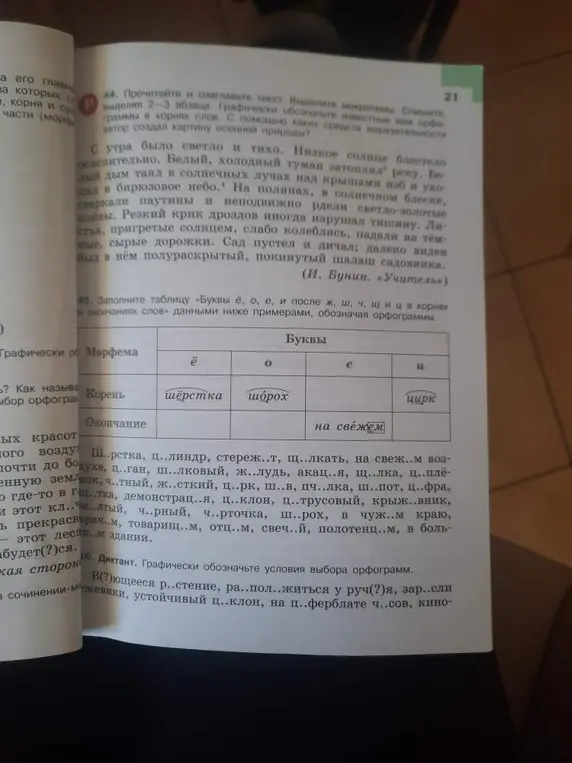 Можешь ли ты заполнить таблицу «Буквы ё, о, е, и после ж, ш, ч, щ и ц в корнях и окончаниях слов»?