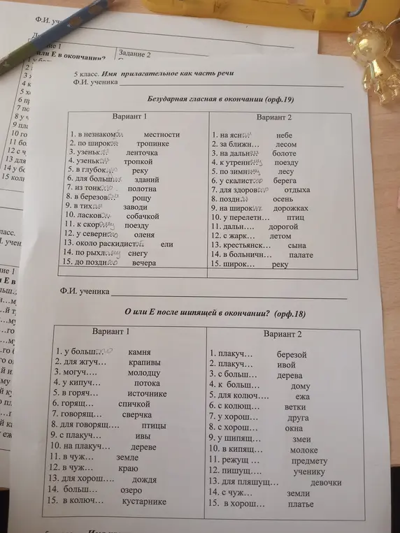 В задании нужно вставить пропущенные буквы в окончаниях прилагательных. Как это сделать?