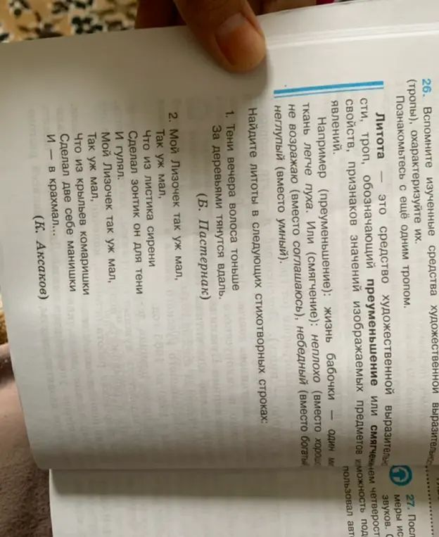 Найди литоты в следующих стихотворных строках?