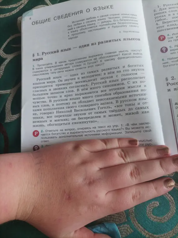 В чём заключается богатство и выразительность русского языка?