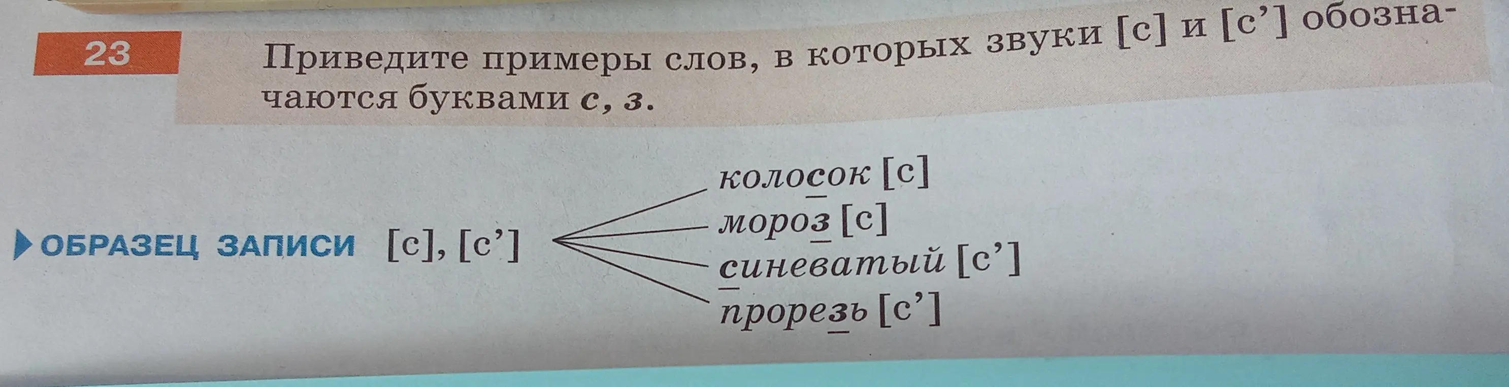 Приведи примеры слов, в которых звуки [с] и [с'] обозначаются буквами с, з.