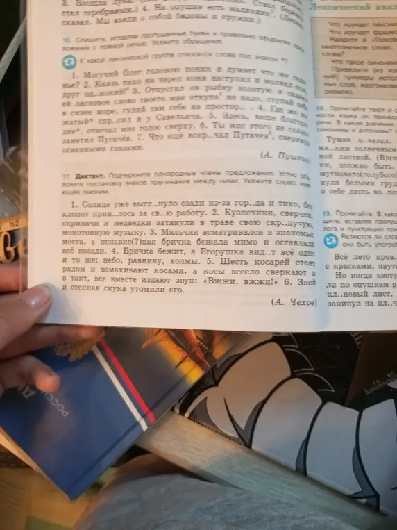 Ты просишь подчеркнуть однородные члены предложения и объяснить постановку знаков препинания, а также указать слово, имеющее омоним в упражнении 17