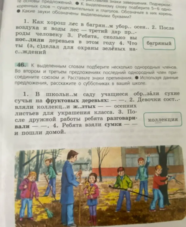 Ты просишь вставить пропущенные буквы в слова и подобрать однородные члены к выделенным словам.