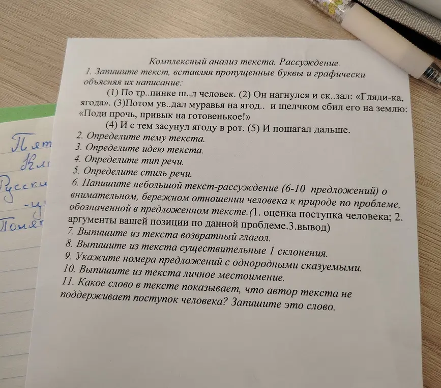 Ты просишь записать текст, вставляя пропущенные буквы и графически объясняя их написание.