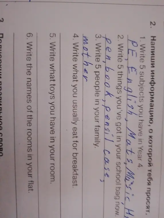 Напиши 5 subjects you have in Year 4